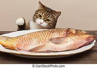 猫が好きなのは魚、肉？