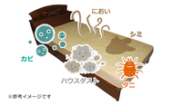 快適な睡眠取れていますか～～～～！　ベッドマットって洗えるんです(^^♪