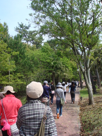 140人が参加！大盛況だったシーガイアでのウォーキング大会