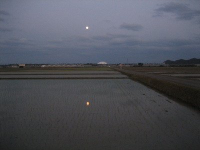 田に写る月