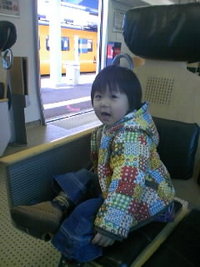 2009年01月31日