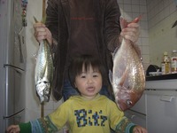 2008年12月04日