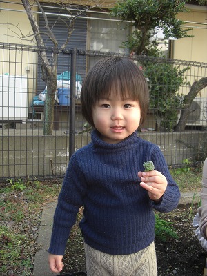 無農薬野菜