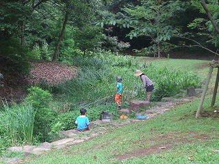 虫採りとプール