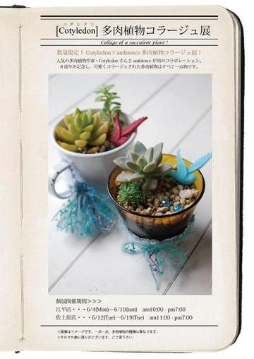 ambienceにて・・・