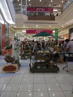 イオン4日目