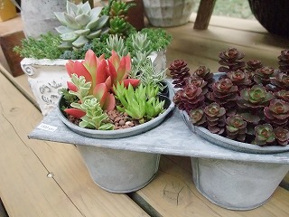 明日から開催!