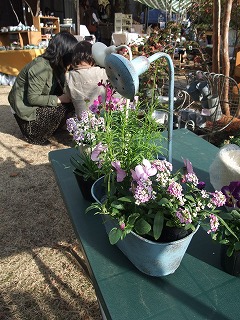 ソラニワありがとうございました