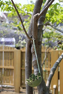 お花いっぱい