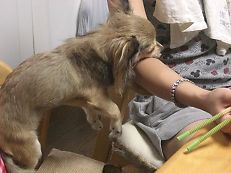 なにだら~としてるの??