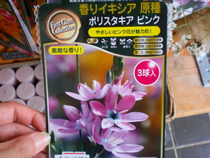 香り　イキシア！