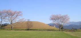 ブルーベリー収穫・農業体験 [古代の風]　宮崎県西都市