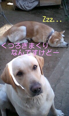 梅⇒あきちゃん
