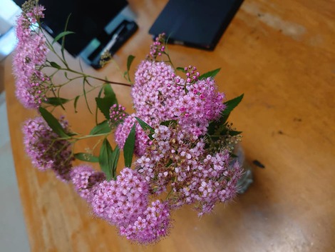 わたしの趣味♪　～花が好き～