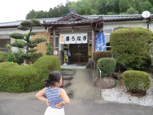 うなぎが気軽に食えなくなる時代が来る? うなぎが気軽に食えなくなる時代が来る?