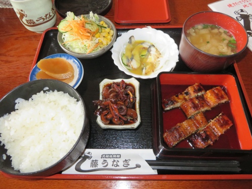 うなぎが気軽に食えなくなる時代が来る? うなぎが気軽に食えなくなる時代が来る?