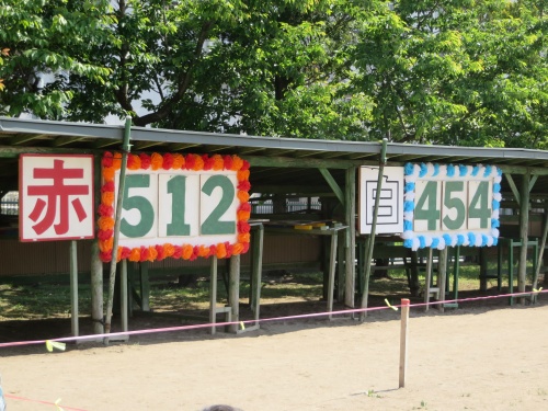 姉弟で敵同士 姉弟で敵同士