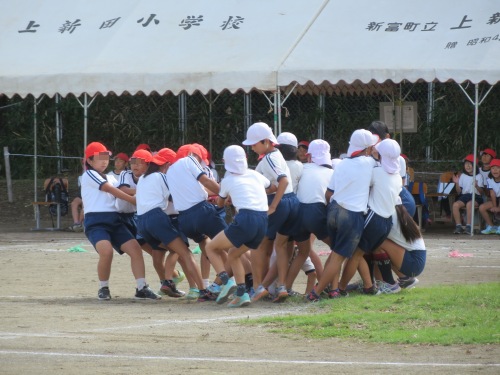 三沢でも運動会やってきたというのに・・・ 三沢でも運動会やってきたというのに・・・