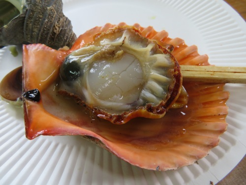 岩牡蠣を食いに行って緋扇貝の旨さに開眼する