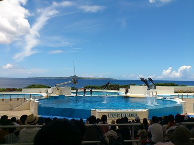 沖縄、楽しかった♪