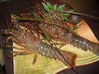伊勢えび料理・・・その後・・・