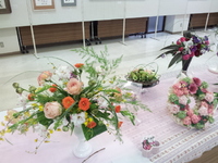 田野町文化祭★開催です＼(^_^)／