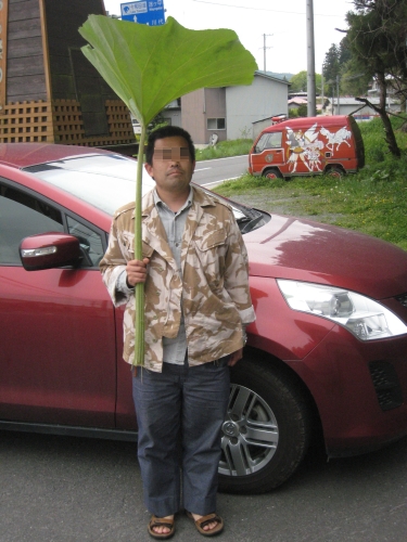 キリストの墓の近所で見つけました