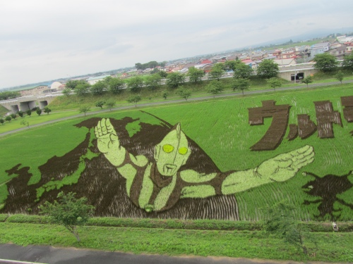 今年はウルトラマンだ!