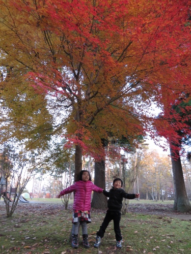 紅葉を見に逝こうよう
