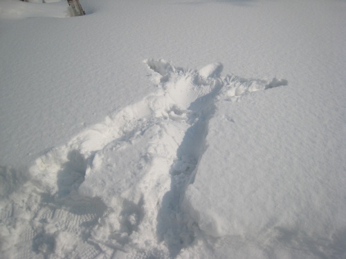 雪のお影で財布が寒い