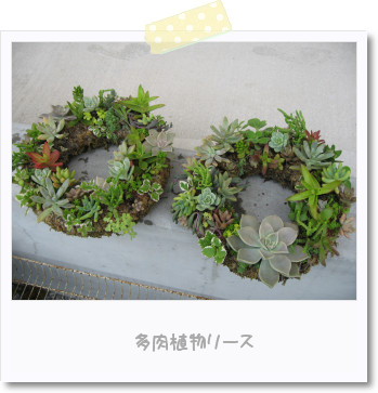 相性が悪い・・・(;→д←)
