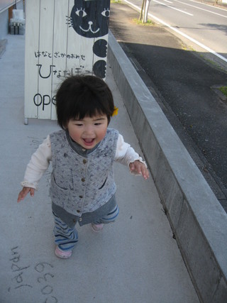 ミモザ♪