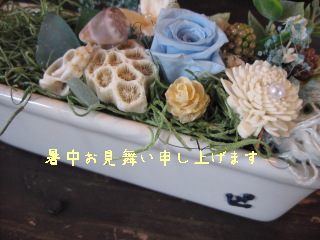 Summer　Sale♪