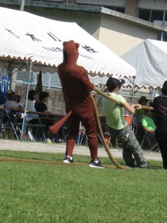 シルバーウィーク最終日!