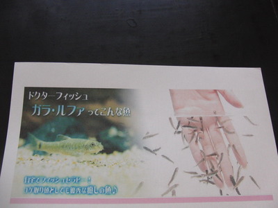 イベント