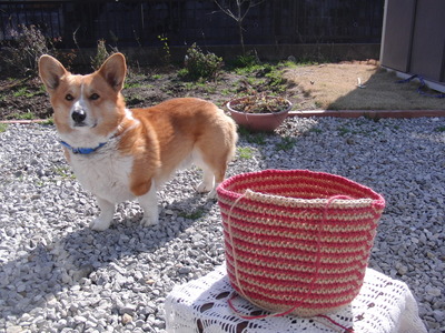ボーダー柄かな?