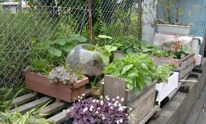 【堀野農園(?)】