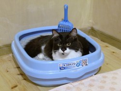 嬉しいやら寂しいやら・・・