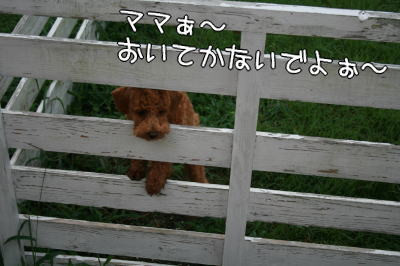ペットと阿蘇旅行
