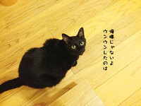 ちょっと困った事に【排泄】