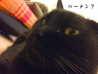 ルーメンってニャンじゃ？