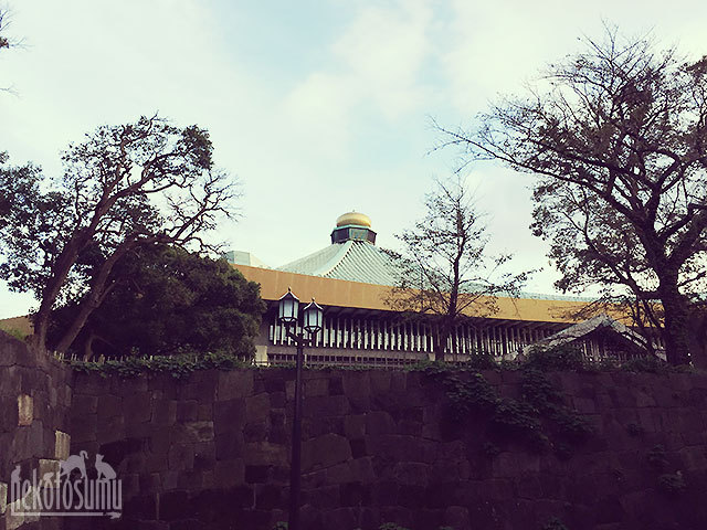 屋根の上に光る玉ねぎ 日本武道館