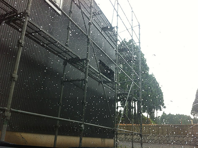 雨