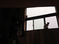 だらしない身体を見せてしまい申し訳ないm(_ _)m