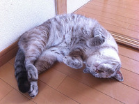 一人寂しく土地下見する