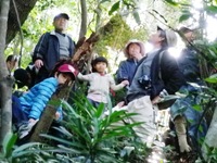 加江田川と幸島の自然体験教室
