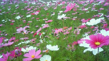 前回の続き・・・