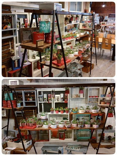 本日もアトリエショップオープン! 本日もアトリエショップオープン!