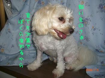 飼い主さんと飼い犬さん