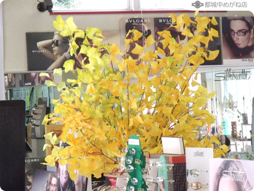 秋、いろいろ。